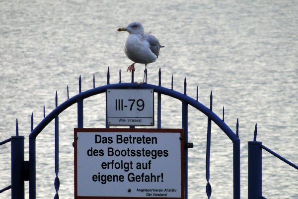 Foto Egon Nehls