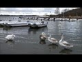 Hochwasser am 06.01.2012