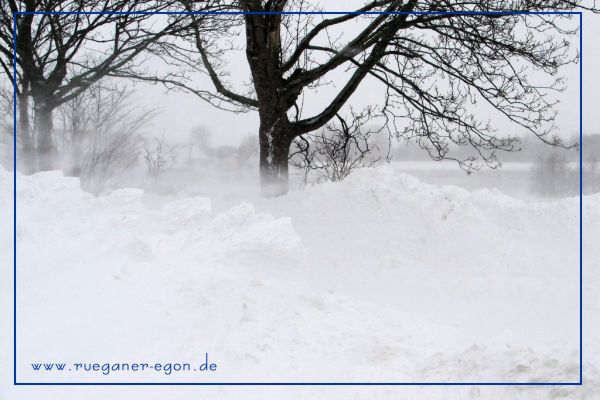 Foto; Egon Nehls