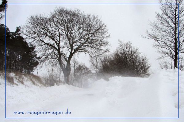 Foto; Egon Nehls