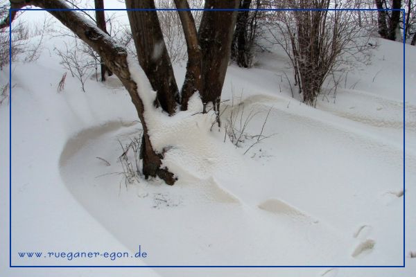 Foto; Egon Nehls