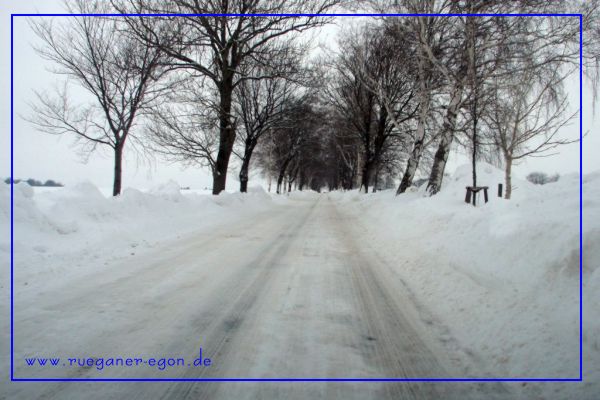 Foto; Egon Nehls